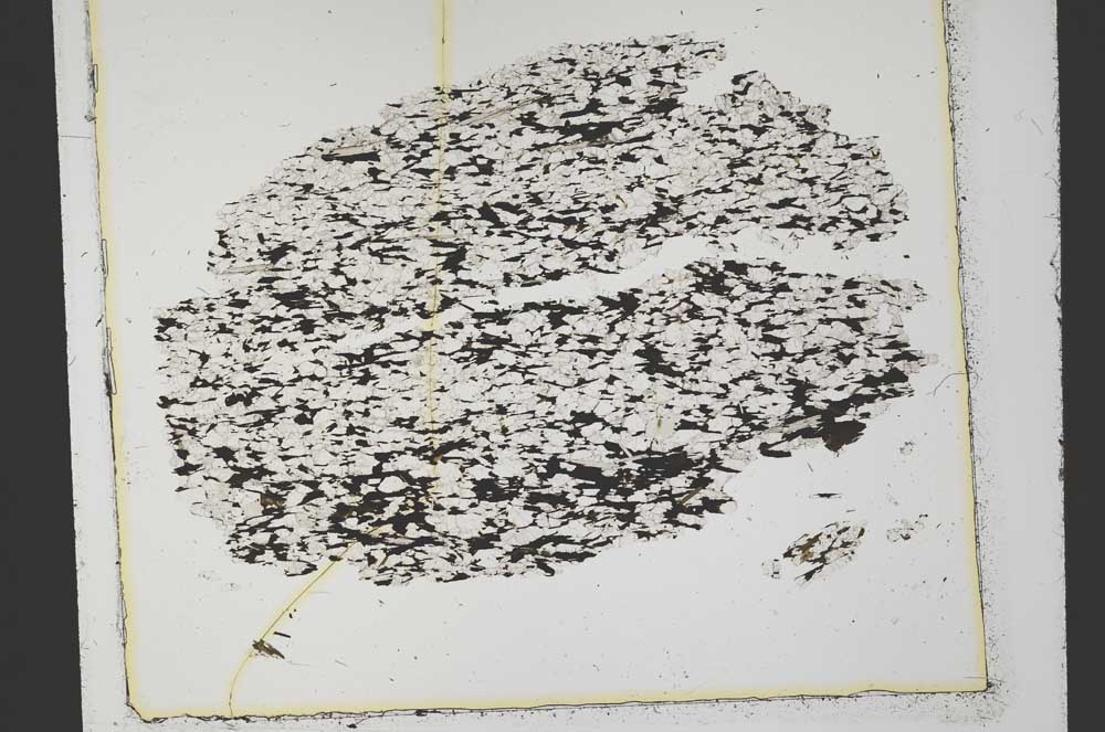 Plane Polarized, S34224