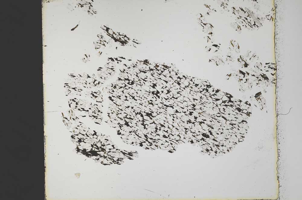 Plane Polarized, S34225