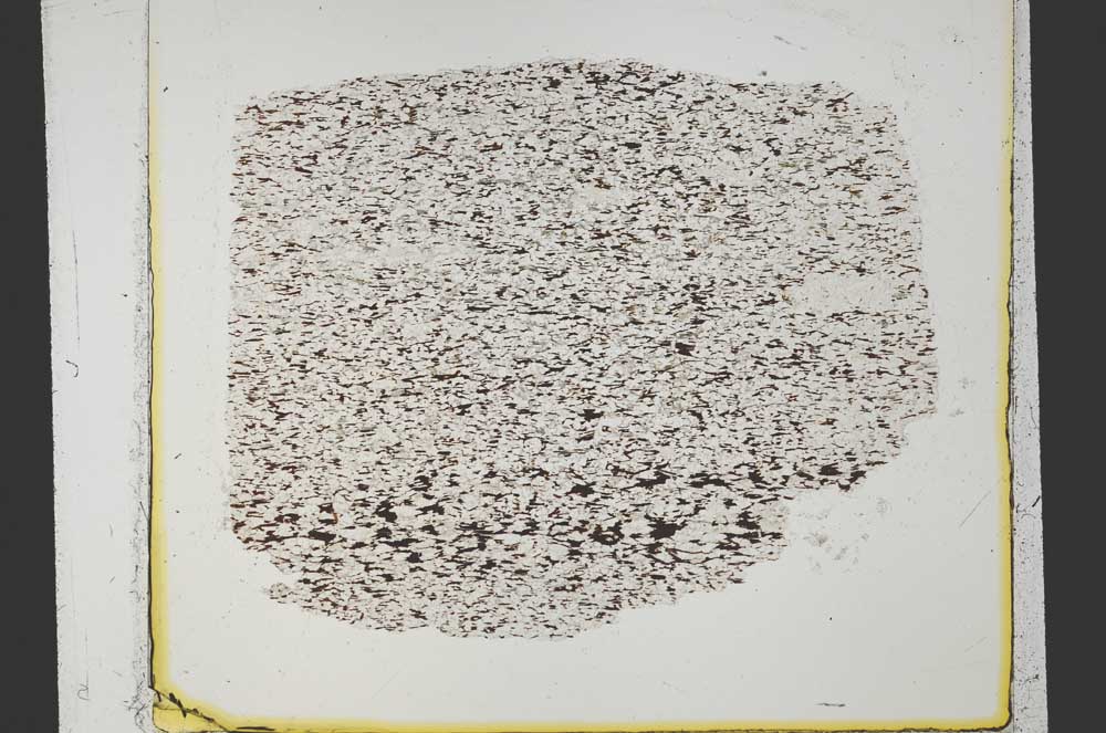 Plane Polarized, S34229