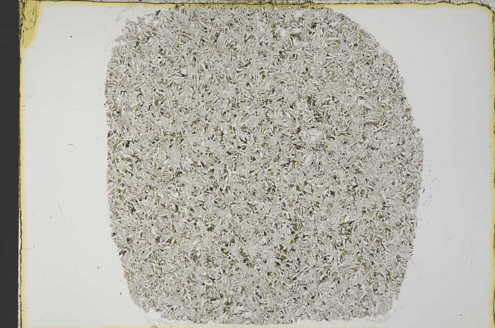 Plane Polarized, S34244