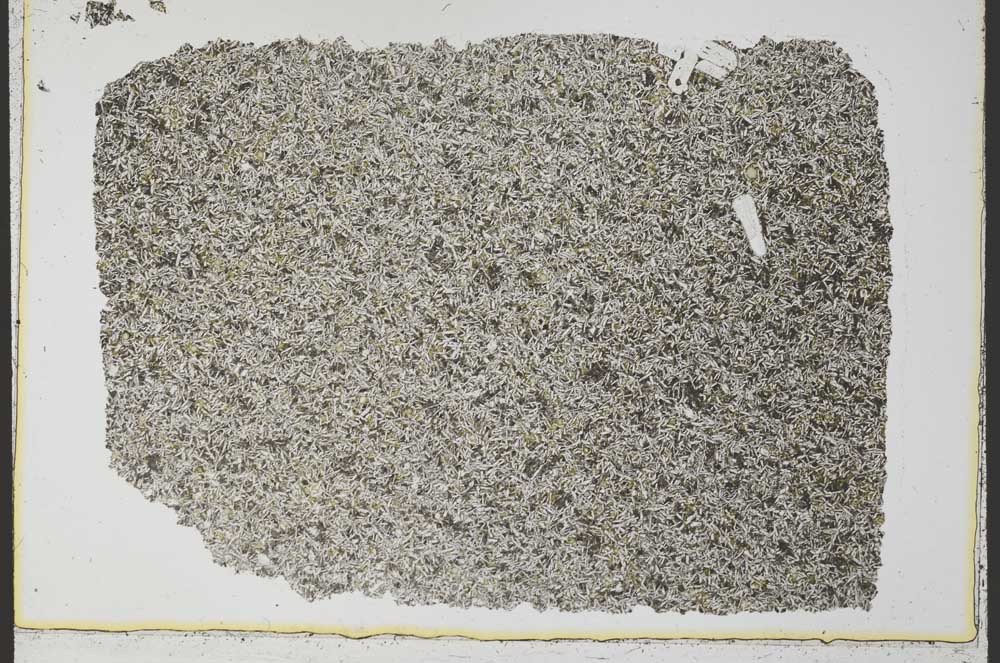 Plane Polarized, S34273