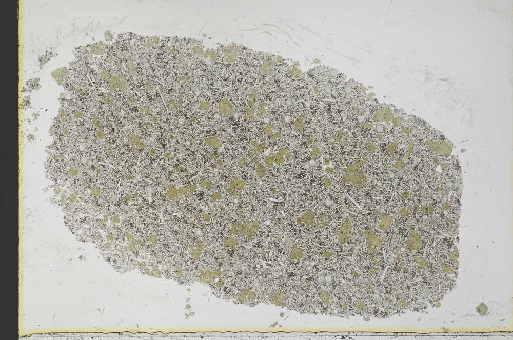 Plane Polarized, S34295