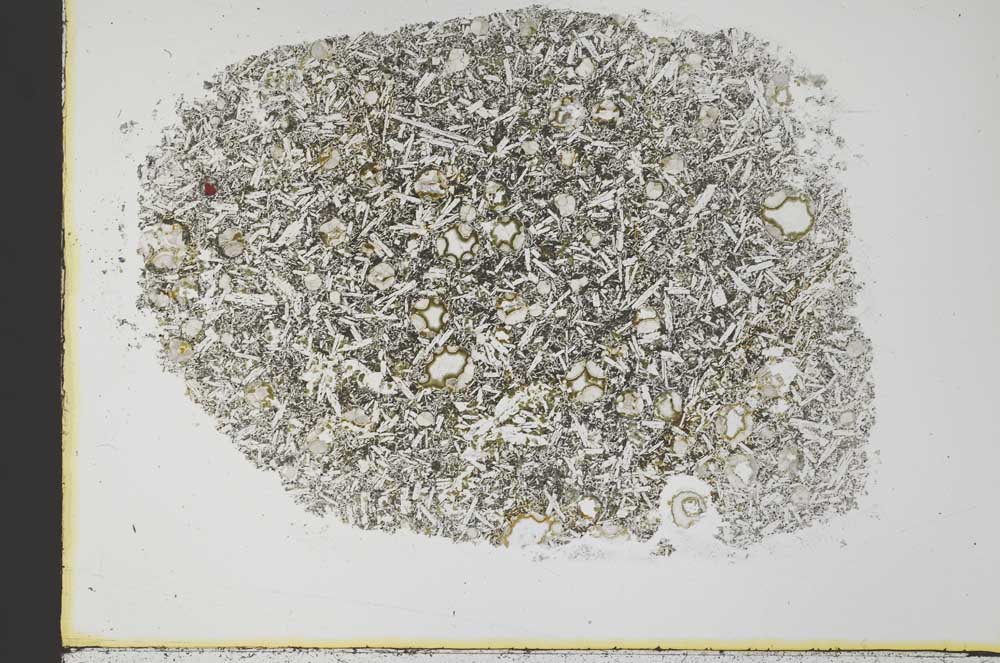 Plane Polarized, S34329