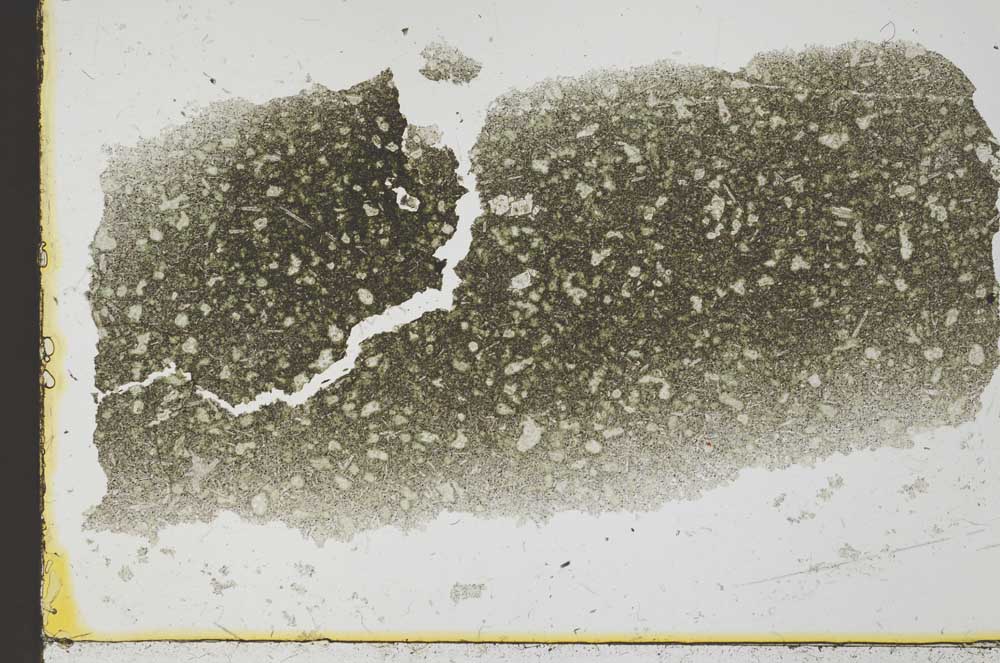 Plane Polarized, S34368
