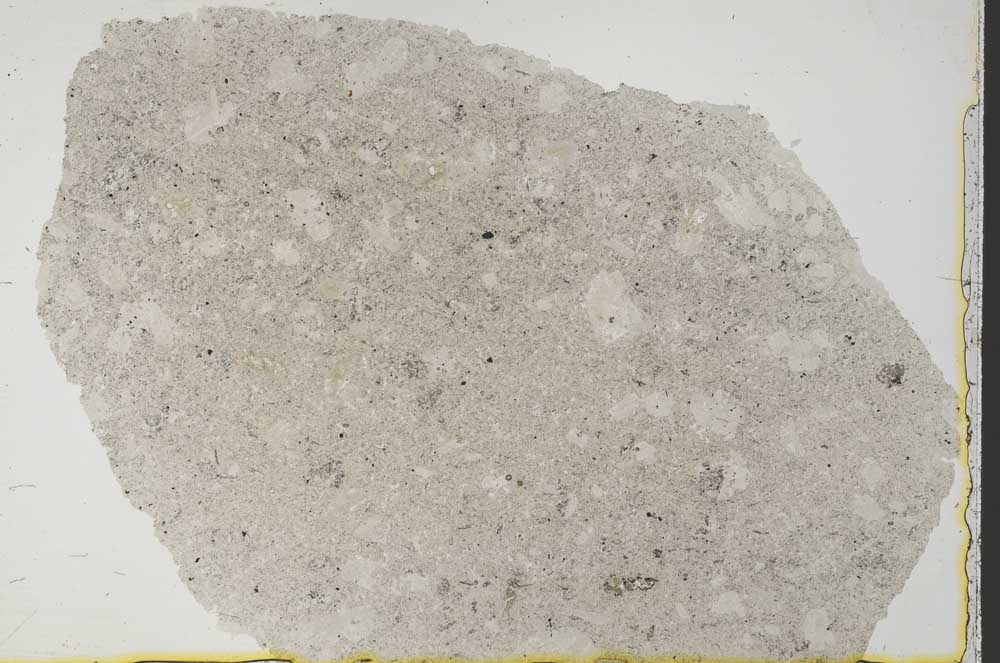 Plane Polarized, S34376