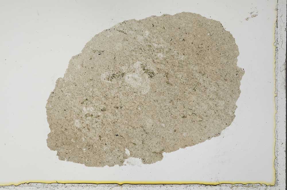 Plane Polarized, S34382