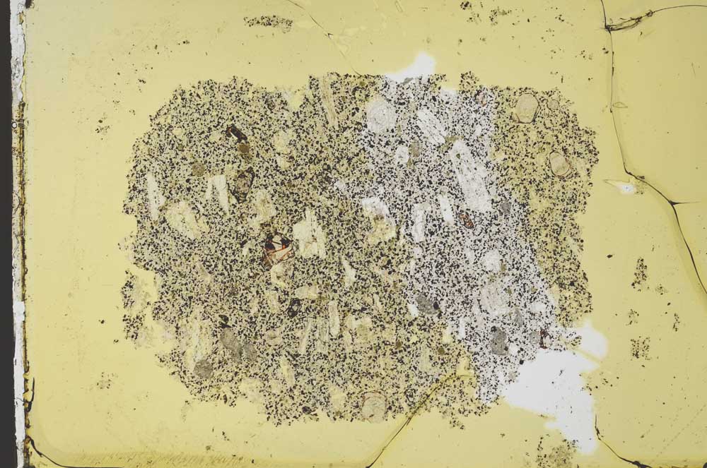 Plane Polarized, S34388