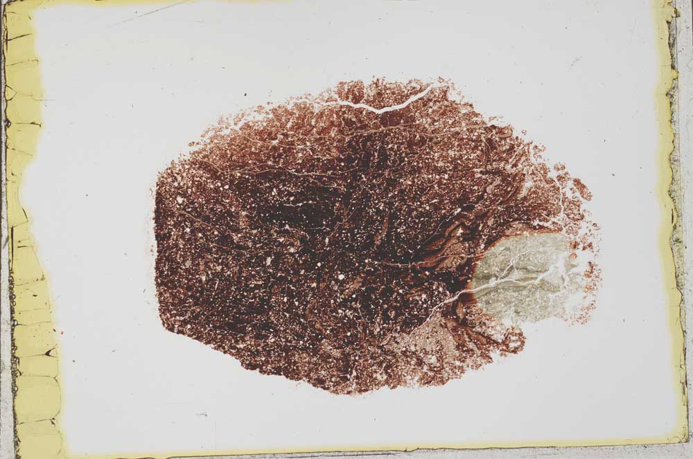 Plane Polarized, S34395