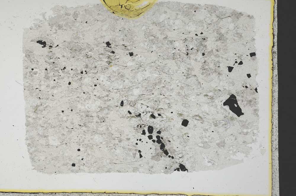 Plane Polarized, S34398