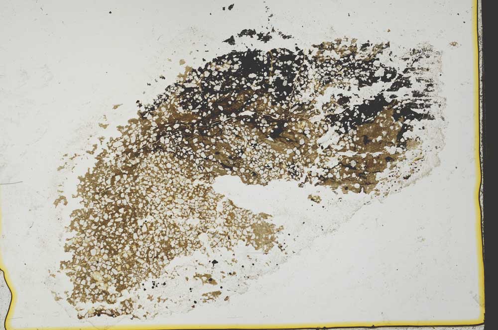 Plane Polarized, S34409