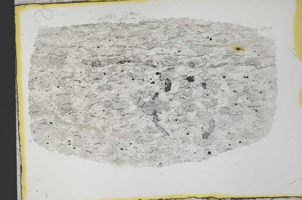 Plane Polarized, S34427