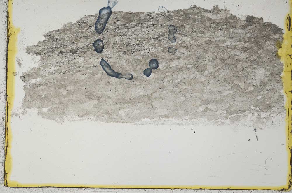 Plane Polarized, S34431