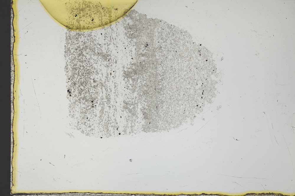 Plane Polarized, S34432