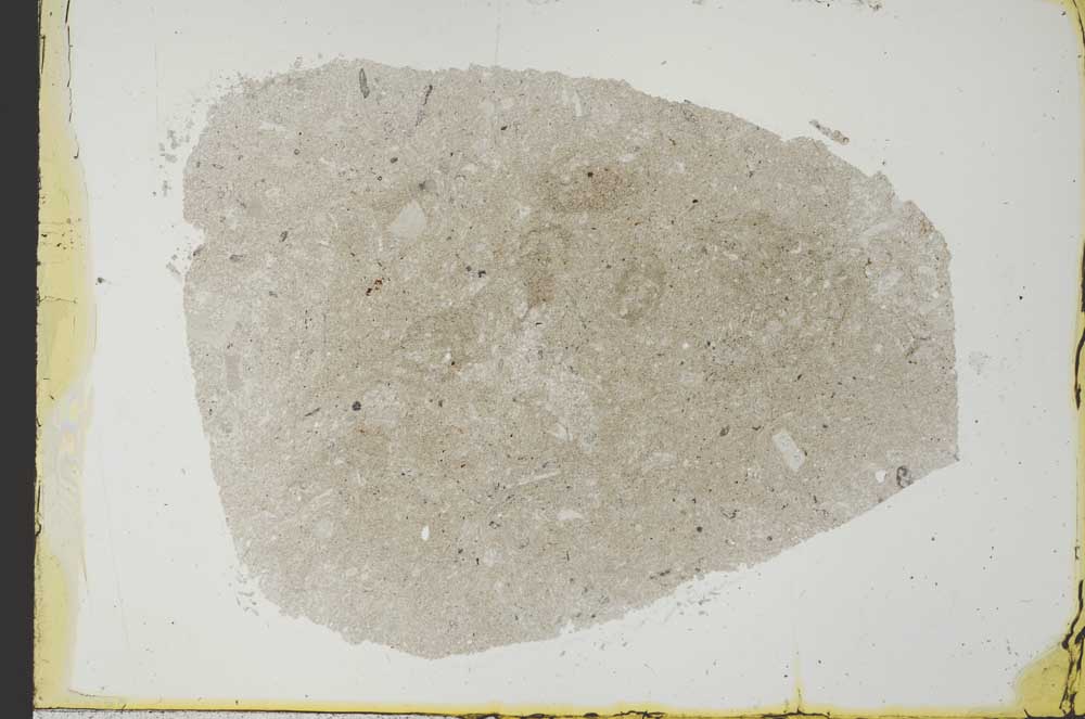 Plane Polarized, S34442/A