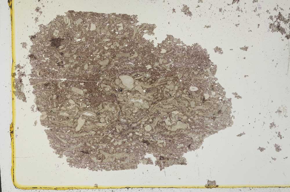 Plane Polarized, S34455