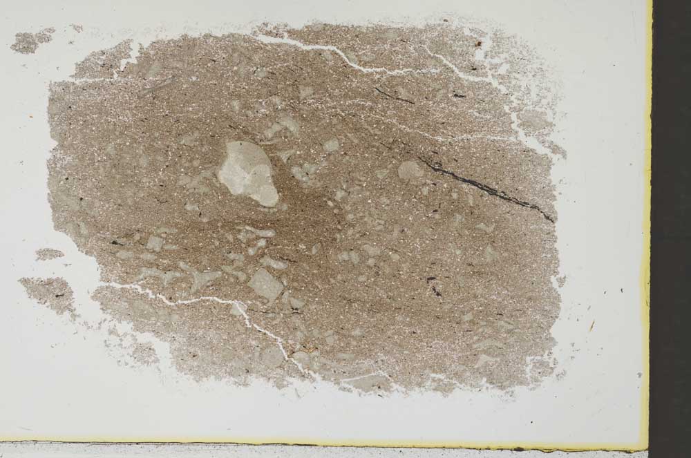 Plane Polarized, S34455/A