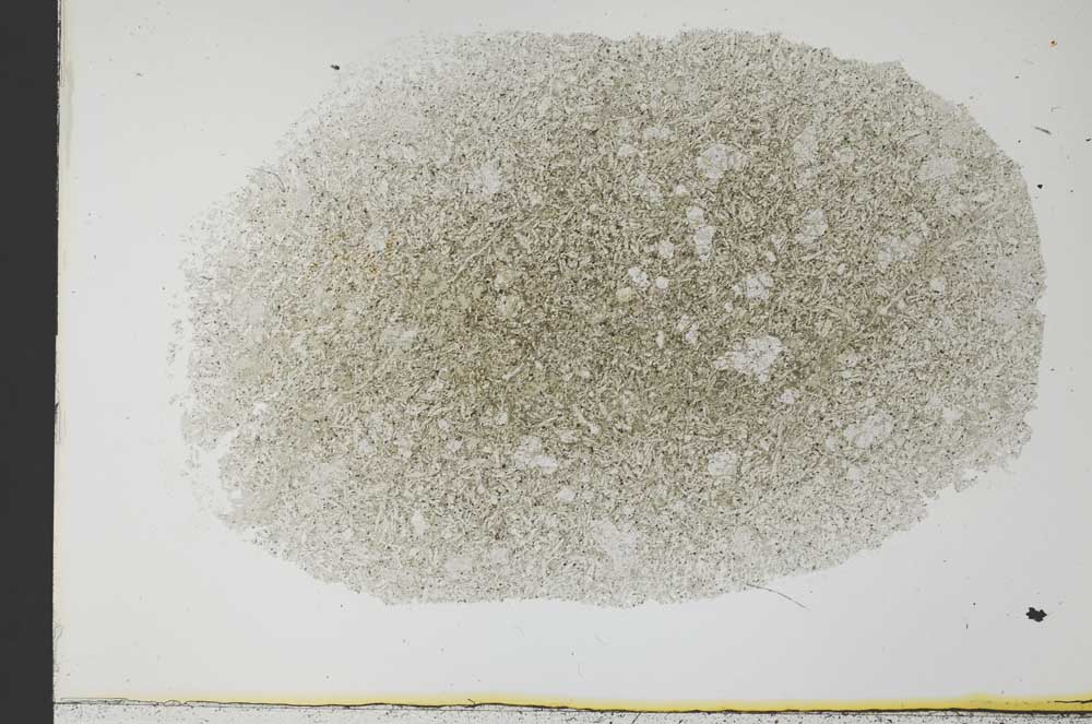 Plane Polarized, S34459