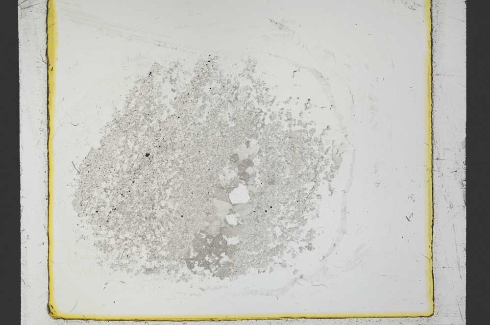 Plane Polarized, S34482