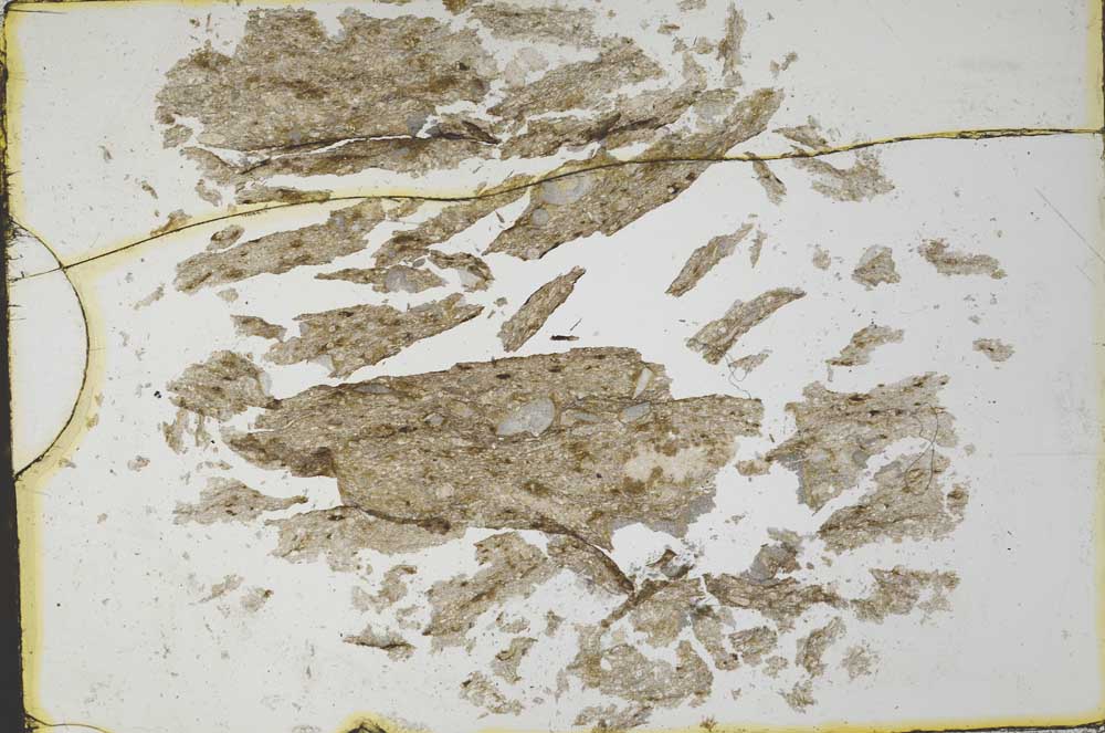 Plane Polarized, S34495