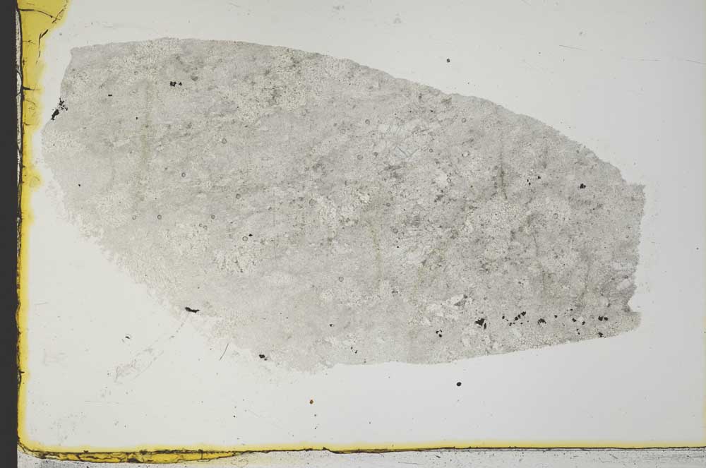 Plane Polarized, S34503