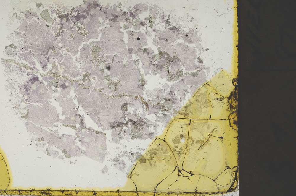 Plane Polarized, S34504