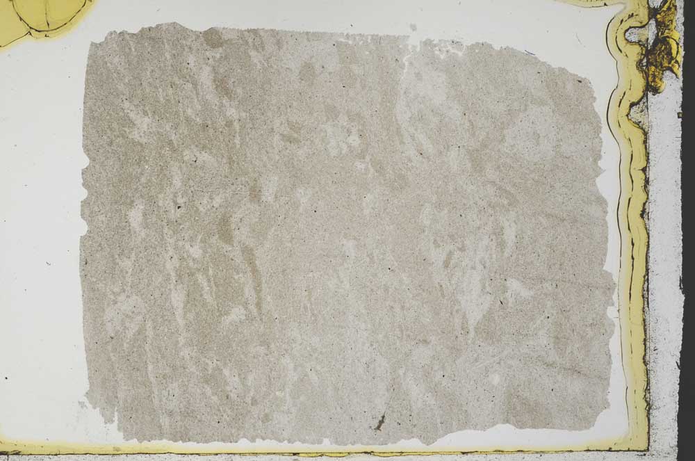 Plane Polarized, S34527