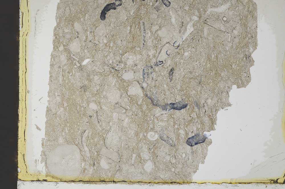 Plane Polarized, S34530