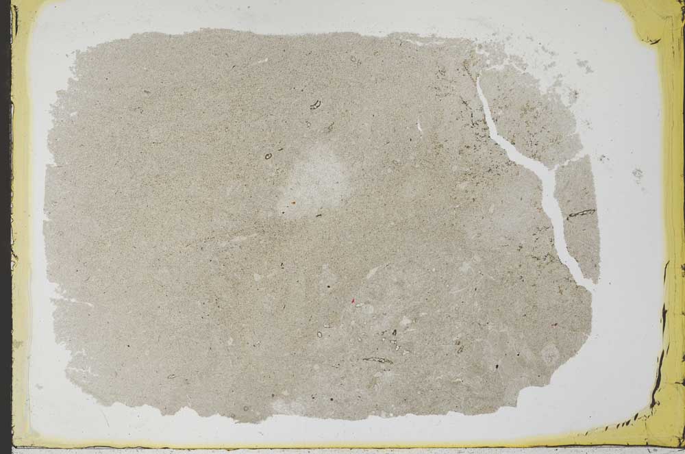 Plane Polarized, S34531