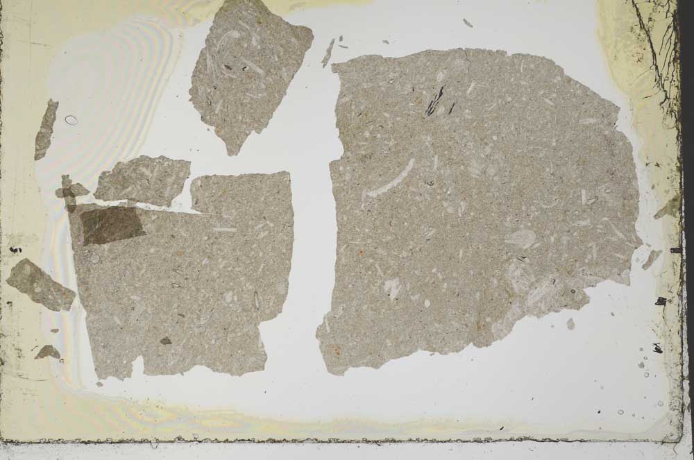 Plane Polarized, S34532