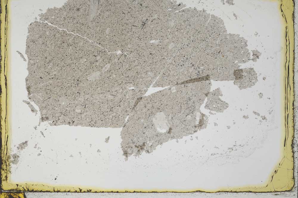 Plane Polarized, S34533