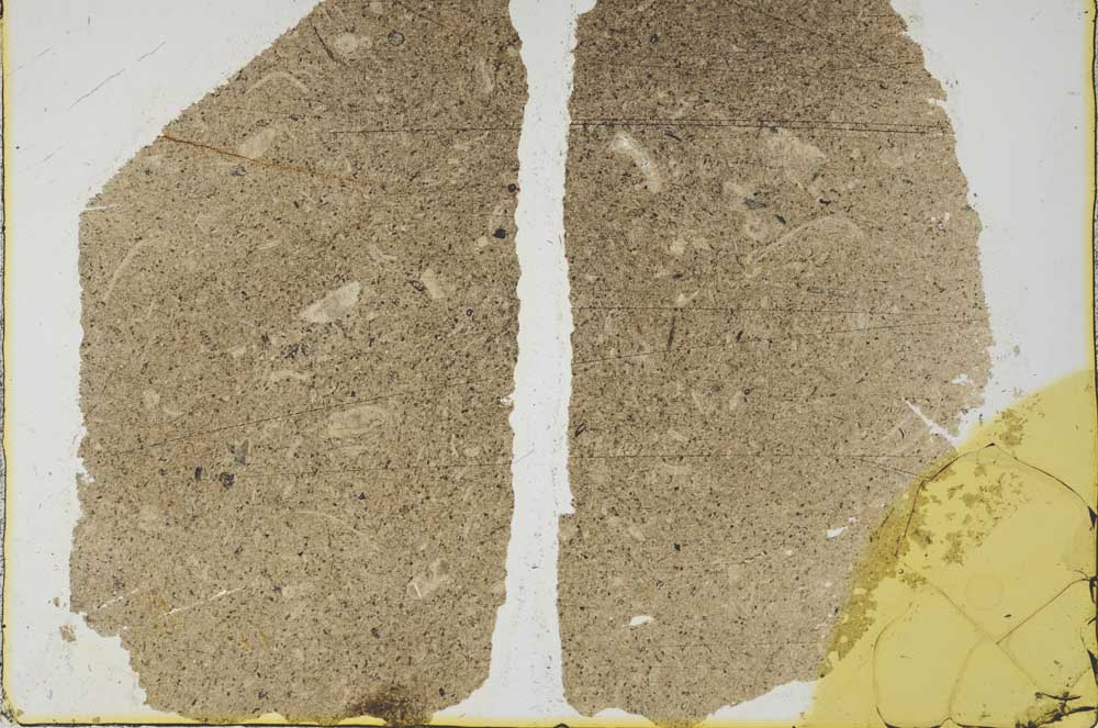 Plane Polarized, S34533/A