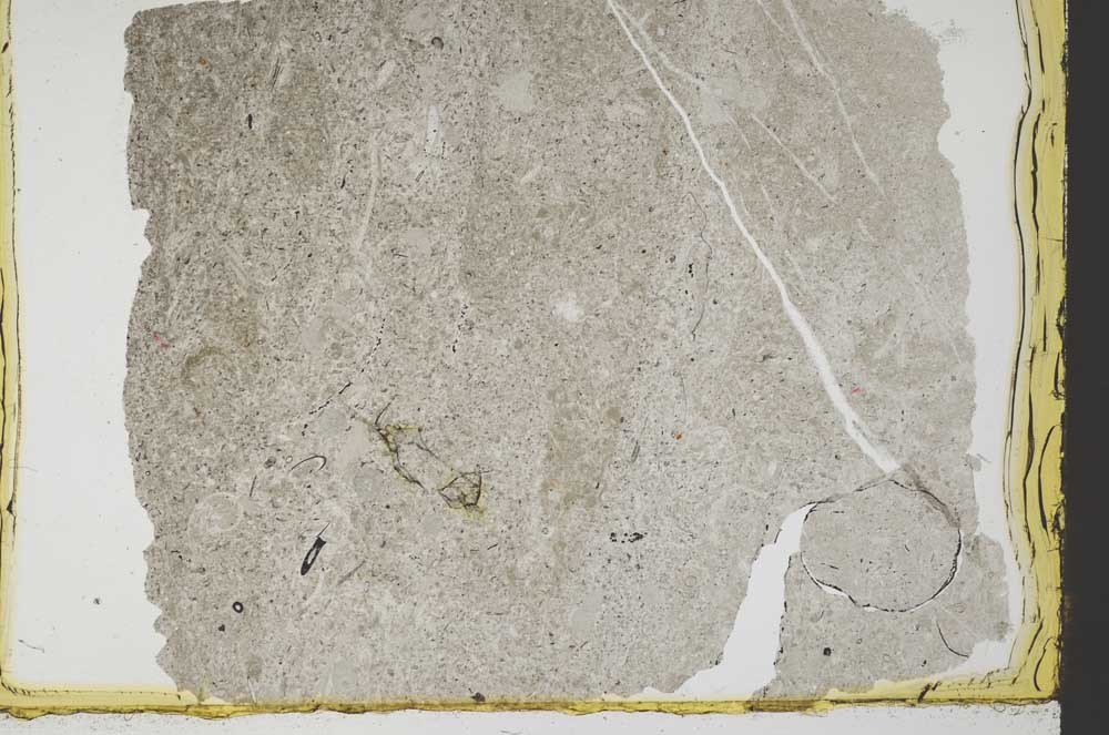 Plane Polarized, S34535