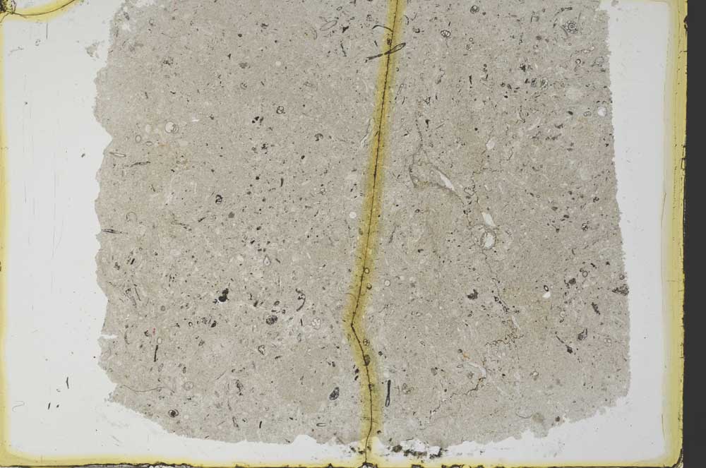 Plane Polarized, S34536