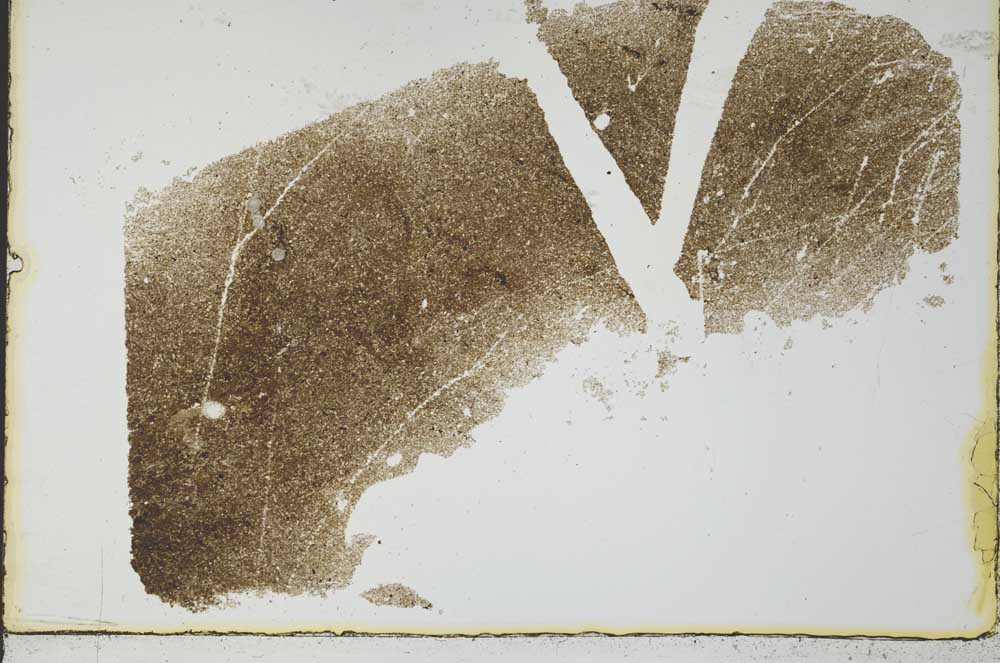 Plane Polarized, S34537