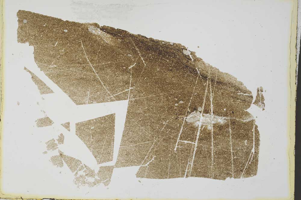 Plane Polarized, S34539
