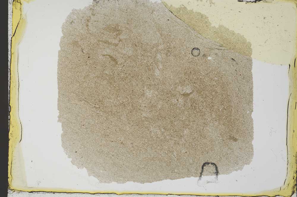 Plane Polarized, S34549