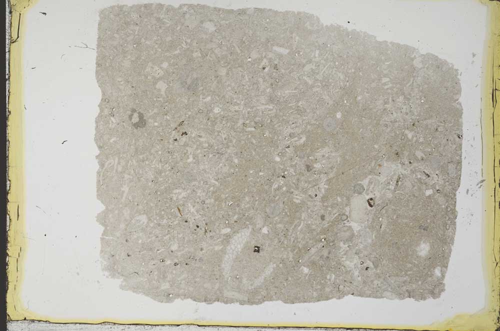 Plane Polarized, S34552