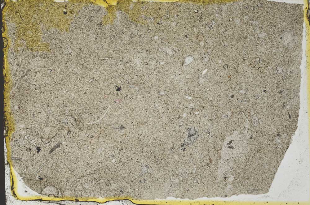 Plane Polarized, S34556