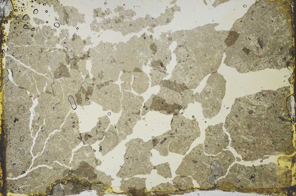 Plane Polarized, S34557