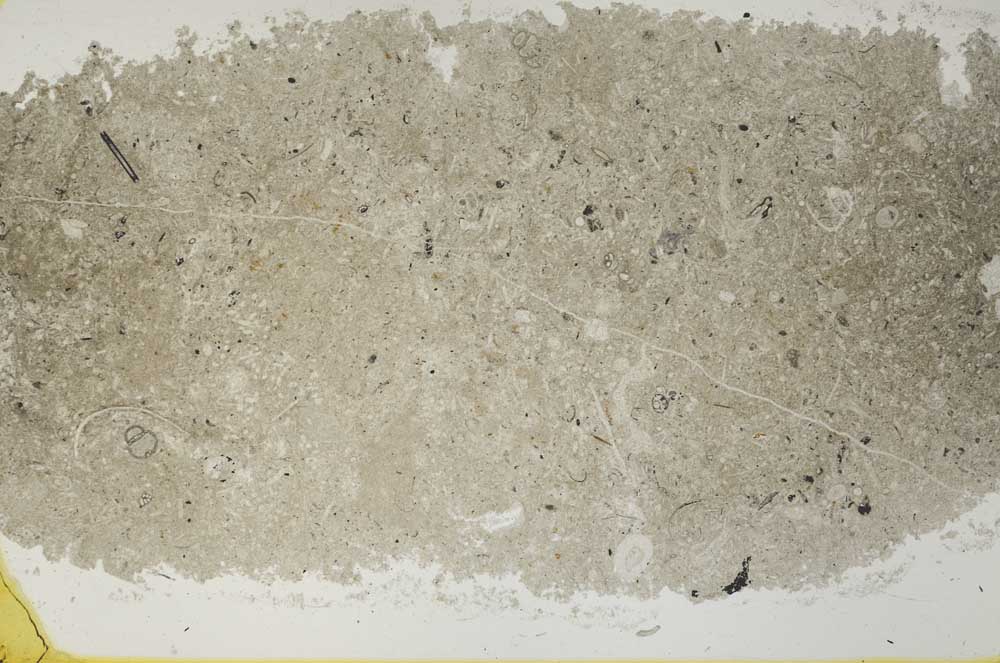 Plane Polarized, S34557/A