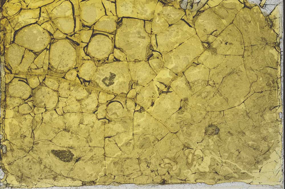 Plane Polarized, S34564