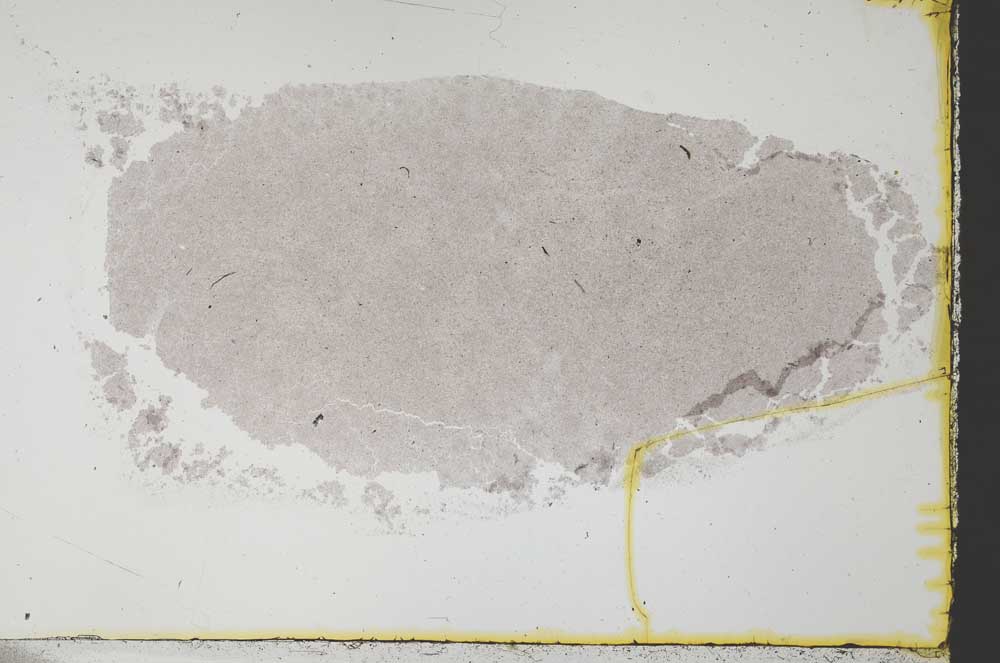 Plane Polarized, S34566/A