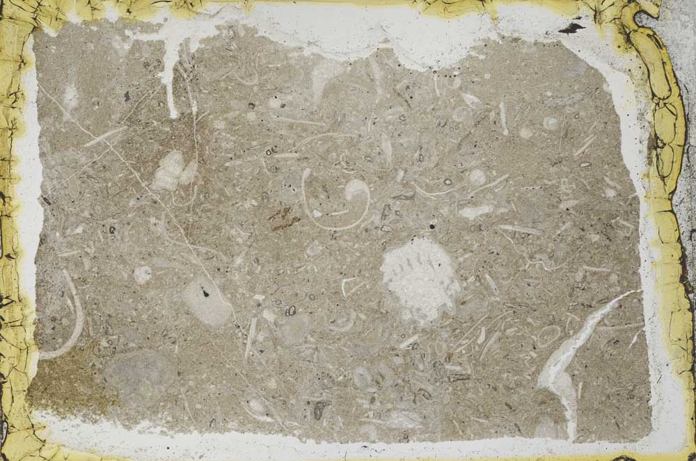 Plane Polarized, S34570