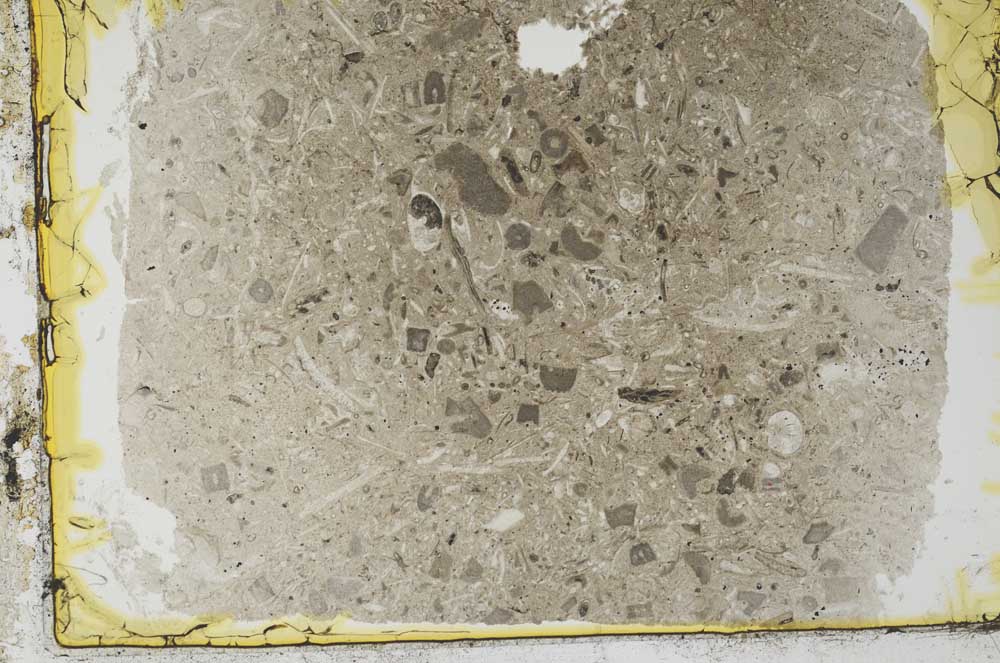 Plane Polarized, S34621