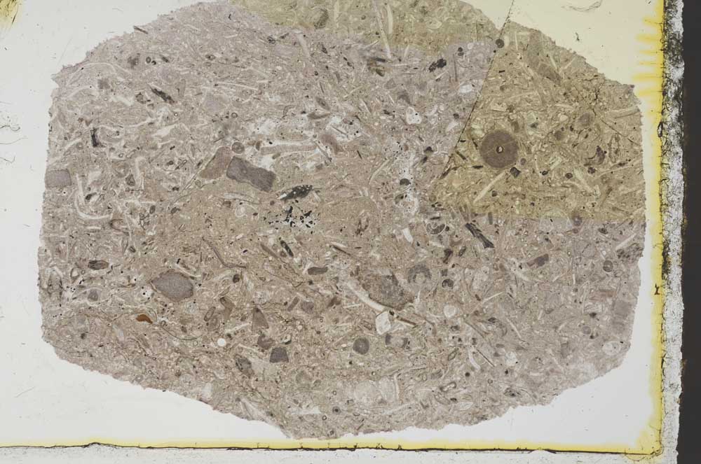 Plane Polarized, S34621/A