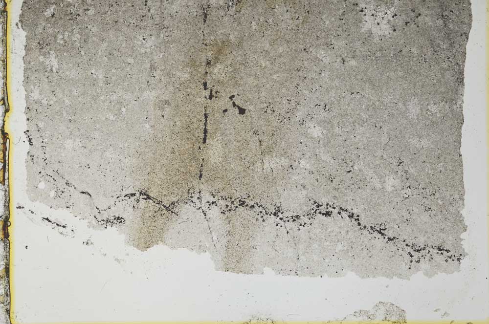 Plane Polarized, S34633