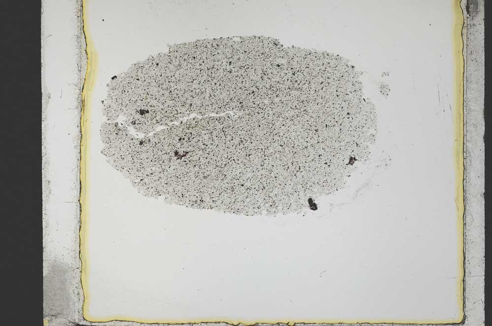 Plane Polarized, S34641