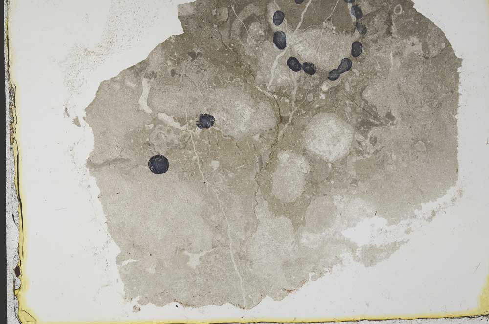 Plane Polarized, S34654