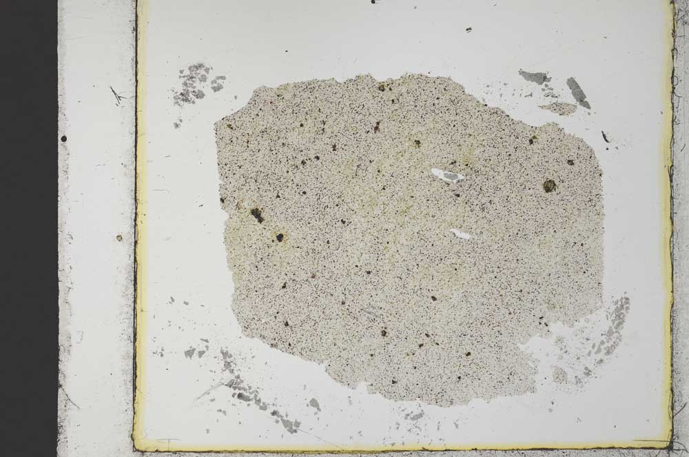 Plane Polarized, S34745