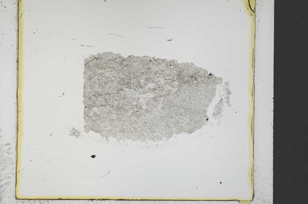 Plane Polarized, S34764